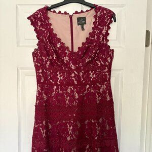 Adrianna Papell Plum Color Lace Party Dress, Size 6 RN#59782